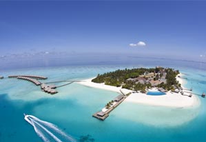 Honeymoons