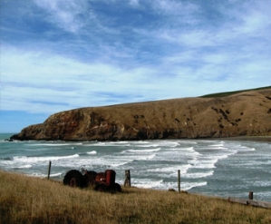 New Zealand Bay Gay Weddings