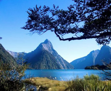 New Zealand Wilderness Gay Weddings ― Perfect Gay Honeymoons | Award Winning UK Gay Honeymoon Specialists